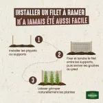 Kit de jardinage - Kit semis Haricot Grimpant Melissa 20m + Filet à ramer Jute - 2m x 5m - image