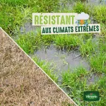 Aléas climatiques - Gazon Aléas Climatiques - 5 kg - image