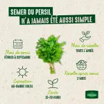 Aromatiques - Persil Commun 2 - BIO - Grand Modèle - image