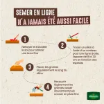 Légumes Secs - Haricot Nain Vert Contender + échantillon Oxinel 2 - image
