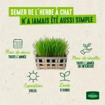 Pour nos animaux - Herbe à Chat (Orge) - BIO - Grand Modèle  - image