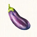 Aubergine