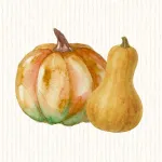 Courge Musquée