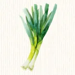Poireau