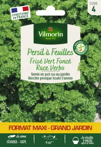 Persil Frisé Vert Foncé race Verbo - Grand Modèle