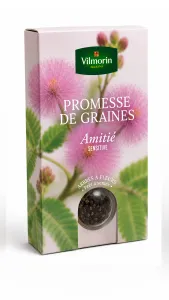 Sensitive - Amitié