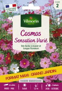 Cosmos Sensation Varié - Grand Modèle