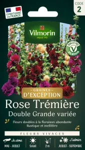 Rose Trémière Double Grande Variée - Graines d'Exception