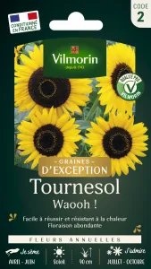 Tournesol Waooh! - Graines d'Exception