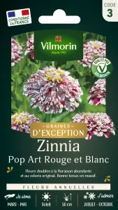 Zinnia Pop Art Rouge et Blanc - Graines d'Exception