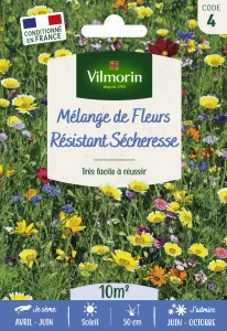 Mélange Résistant Sécheresse - 10 m² - Mélange de fleurs