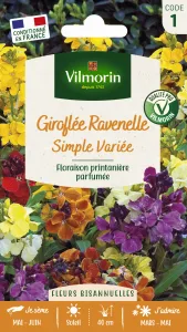 Giroflée Ravenelle Simple Variée