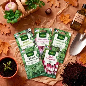 Kit semis d'automne + 12 étiquettes de marquage offertes