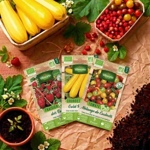 Kit semis bio + 12 étiquettes de marquage offertes