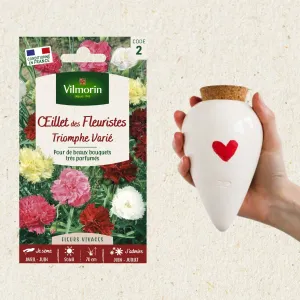 Kit Œillet des Fleuristes Varié + Olla Cœur