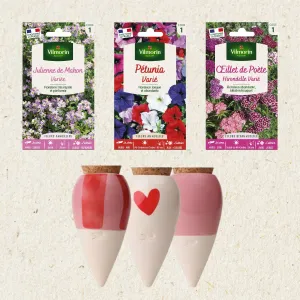 Kit semis de 3 fleurs + Trio Mini Ollas