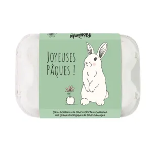 Œufs de Pâques à planter - Lapin - 6 bombes à graines - BIO