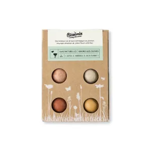 Coffret Cadeau Mini - 4 bombes à graines - BIO