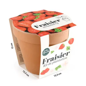 Kit Fraisier - Pot Terre Cuite Antique - 13 cm