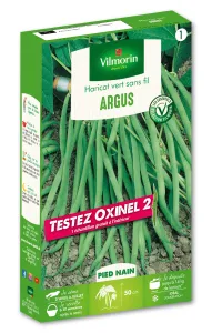 Haricot Nain Vert Argus + échantillon Oxinel 2