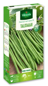 Haricot Nain Vert Talisman