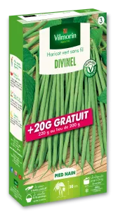 Haricot Nain Vert Divinel + 20 g Offert