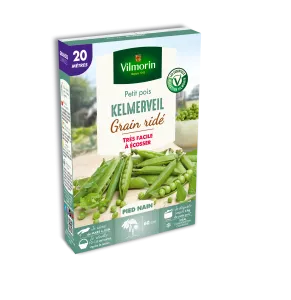 Pois Nain à Grain Ridé Kelmerveil - 20 m