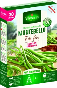Haricot Grimpant Vert Montebello - 20 m