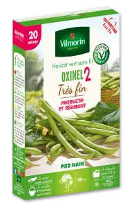 Haricot Nain Vert Oxinel 2 - 20 m