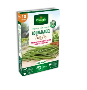 Haricot Nain Vert Gourmandel - 10 m