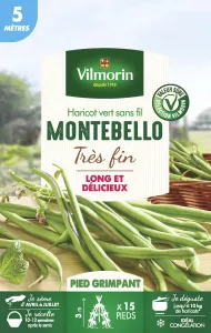 Haricot Grimpant Vert Montebello - 5 m 