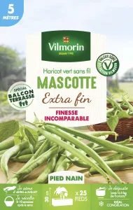 Haricot Nain Vert Mascotte - 5 m 