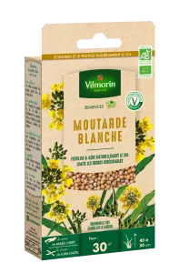 Engrais vert Moutarde blanche - BIO - Petit Modèle 