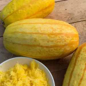 Courgette Végétable Spaghetti