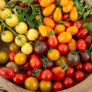 Tomate Cerise en mélange - BIO