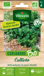 Coriandre Cultivée - BIO - Grand Modèle