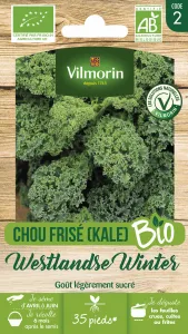 Chou Frisé (Kale) Westlandse Winter - BIO