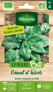 Epinard Géant d'Hiver - BIO - Grand Modèle