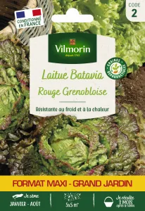 Laitue Batavia Rouge Grenobloise - Grand Modèle