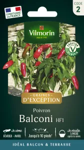 Poivron Balconi HF1 - Graines d'Exception