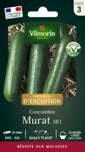 Concombre Murat HF1 - Graines d'Exception