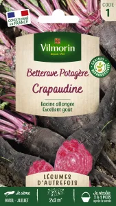 Betterave Potagère Crapaudine - Légumes d'Autrefois