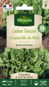 Laitue Craquerelle du Midi - Légumes d'Autrefois