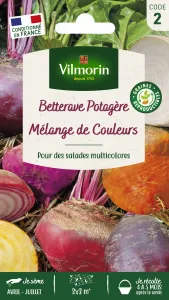 Betterave Potagère Arc-en-Ciel en mélange