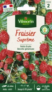 Fraisier 4 saisons Suprême