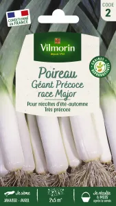 Poireau Géant Précoce race Major