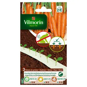 3 Saisons de Carottes - Ruban de graines - 6 m 