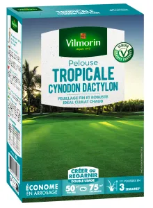 Pelouse Tropicale - Cynodon Dactylon - 500 g