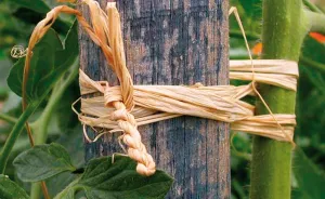 Pelote Raphia - Naturel