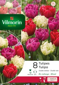 Tulipe Double Tardive en Mélange (x8)